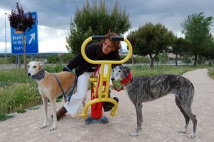 Maria Jose, de Galgos 112 y sus galguitas