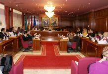 Pleno del Ayto Villaviciosa de Odon