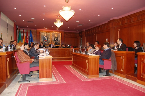 Pleno del Ayuntamiento marzo 2013