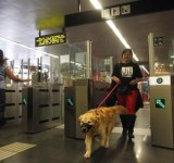 Los perros ya acceden al metro de Barcelona
