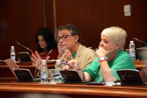 El Pleno de Villaviciosa de Odón aprueba la subida del IBI al 0,46% y rechaza declarar al municipio libre de circos con animales iu-octubre-1