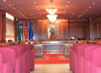 Pleno-Ayuntamiento-Villaviciosa