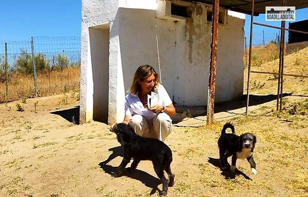 María Somoano, responsable del refugio de acogida animal Arat veterinarios