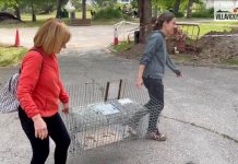 Voluntarias de la asociación Villafelina de Villaviciosa de Odón imagen Villaviciosadigital