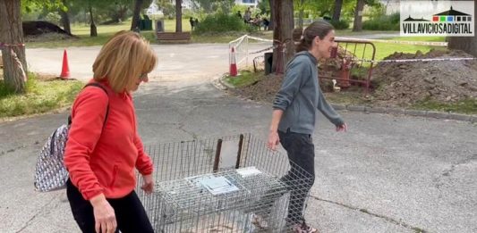 Voluntarias de la asociación Villafelina de Villaviciosa de Odón imagen Villaviciosadigital