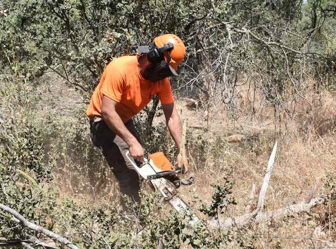 Villaviciosa de Odón impulsa los primeros trabajos de limpieza en la historia del bosque El Monreal Limpiza y desbroce en el bosque El Monreal de Villaviciosa de Odon junio 2024