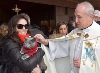 bendicion de animales en Villaviciosa de Odon enero 2020 por San Antonio Abad