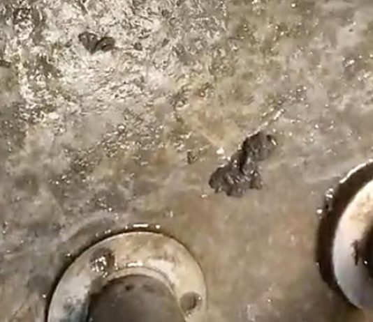 Suciedad en duchas en complejo deportivo municipal Smartfit Villavicisoa de Odon 1 marzo 2025