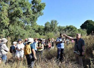 IV Jornadas intermunicipales: La Batalla de Brunete. 2024