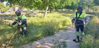 desbroce de zonas verdes en Villaviciosa de Odón 11 junio 2025