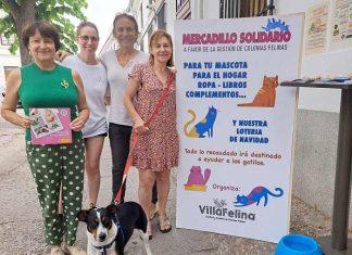 mercadillo solidario villafelina 2024