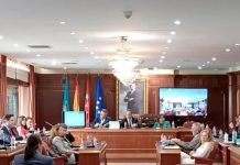 Pleno Ayuntamiento de Villaviciosa de Odón abril 2026