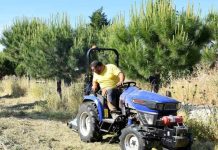 desbroce de parcela en villaviciosa de odon junio 2024