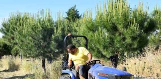 desbroce de parcela en villaviciosa de odon junio 2024