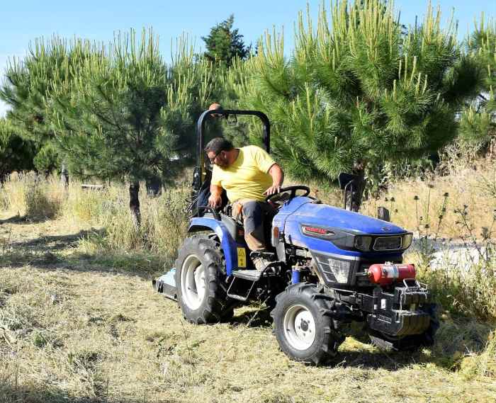 desbroce de parcela en villaviciosa de odon junio 2024