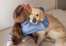 mascota influye positivamente en su salud mental